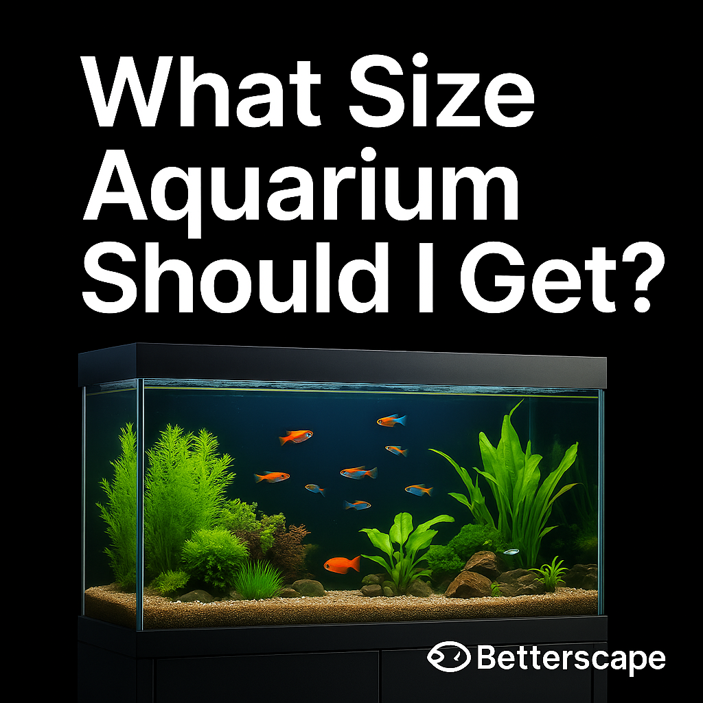 What Size Aquarium Should I Get as a Beginner?